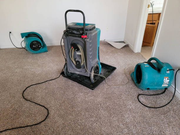Best Commercial water damage restoration  in North York, PA