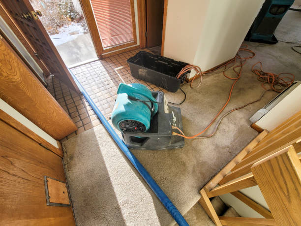 Best Ceiling water damage repair  in North York, PA