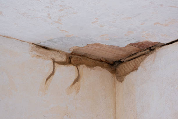 Best Flood restoration services  in North York, PA