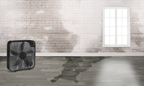 Water damage restoration process in North York, PA