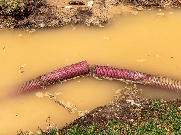 Best Water damage restoration services  in North York, PA