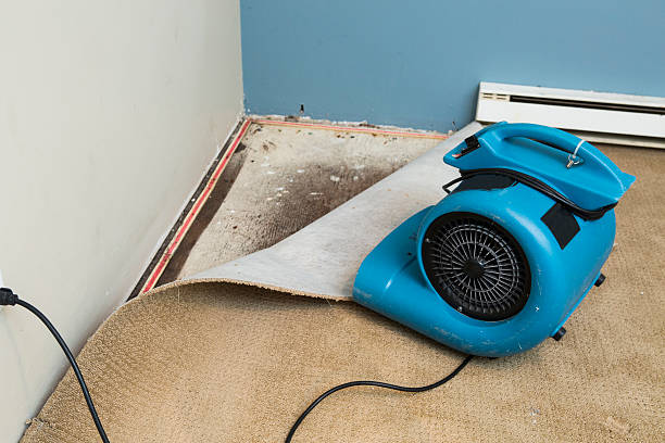 Best Flooded house restoration  in North York, PA